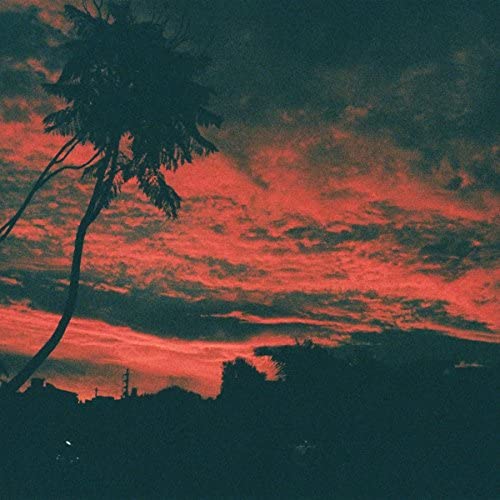 Silhouetted palm tree against a vibrant red and orange sunset sky.