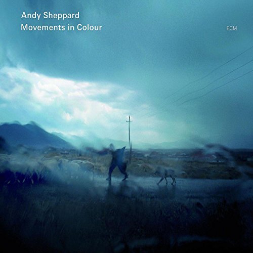 "Album cover featuring a person running with a horse in a stormy landscape."