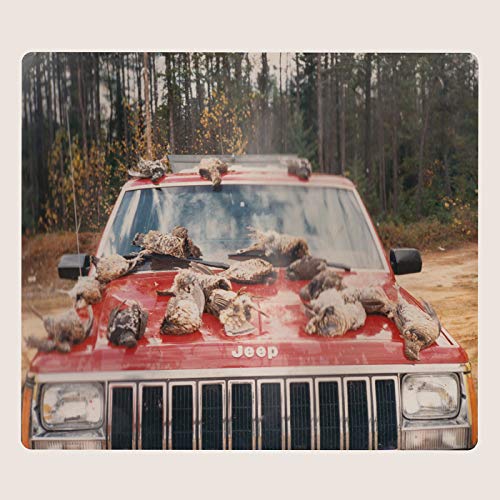 Red Jeep covered in taxidermied birds, forest background.