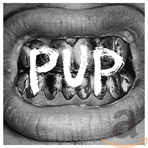 Black and white image of teeth with the word "PUP" written across them.