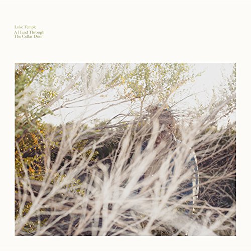 A person stands behind dense, dry branches in this Luke Temple album cover.