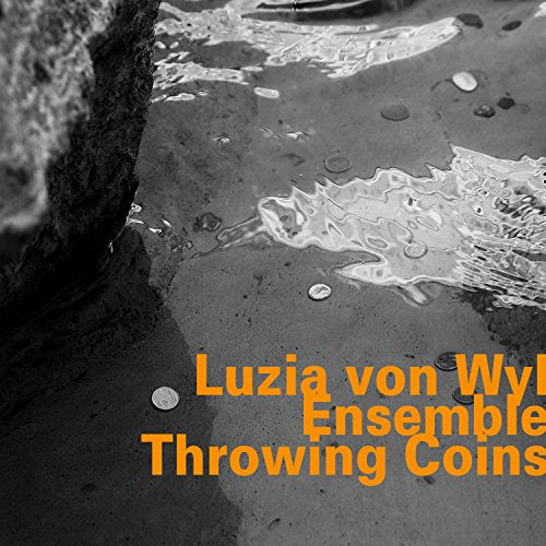 A black-and-white image of coins in water with orange text overlay, displaying album title.