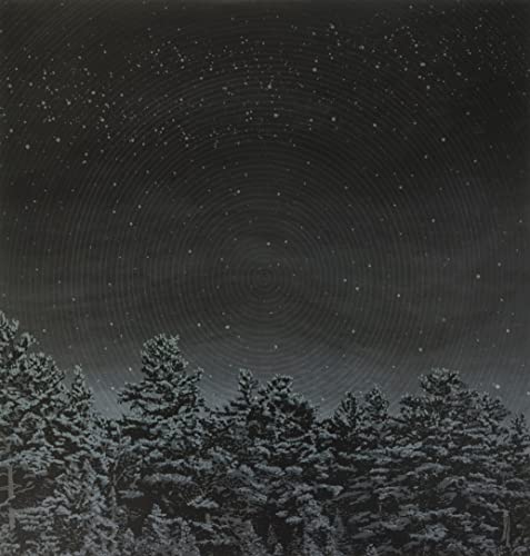 Dark album cover with a starry sky above silhouetted trees.