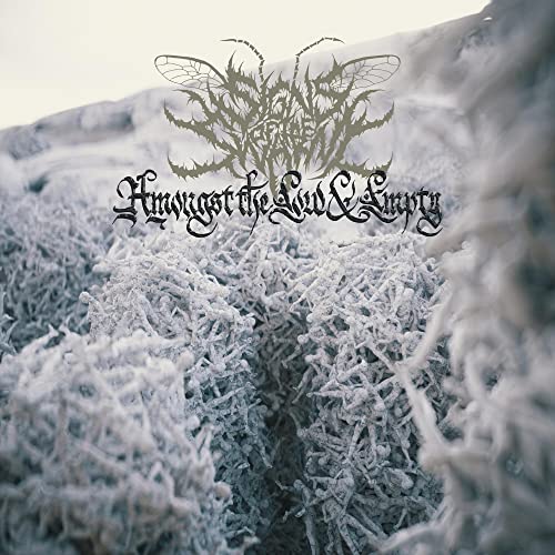 CD album cover: insect design over a snowy, blurred landscape.