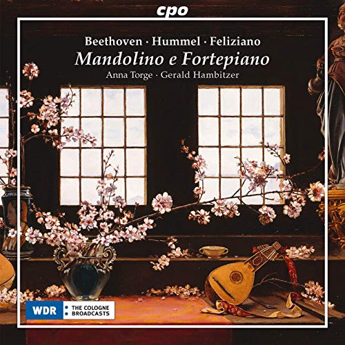 A CD cover featuring a mandolin, flowers, and a window in a dark room.