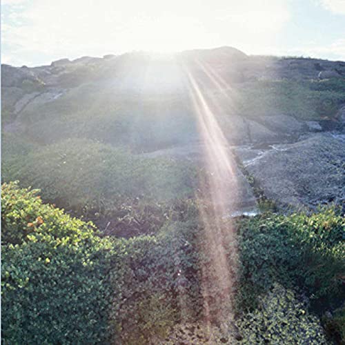Sunlit landscape with hills, vegetation, and a bright lens flare.