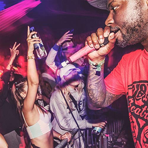 Rapper performing with a microphone in a crowded, dimly lit club.