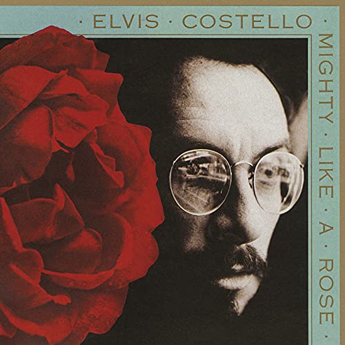 Elvis Costello album cover featuring a red rose and portrait.