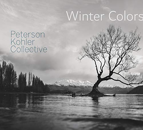 "Album cover with a monochrome landscape featuring a leafless tree and a snowy mountain."
