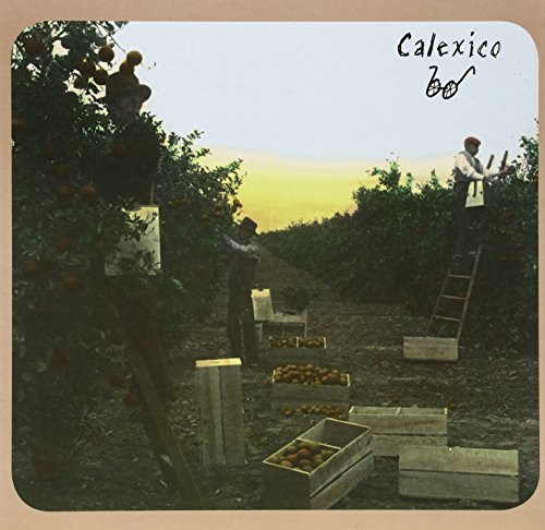 Workers harvest oranges in a grove with wooden crates and ladders at sunset.
