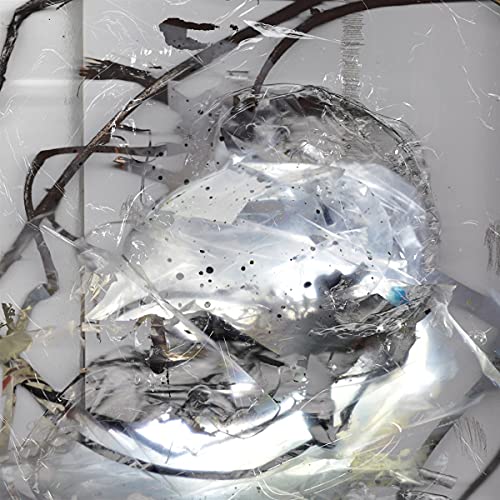 Silver orb wrapped in plastic, with dark branches against a white background.