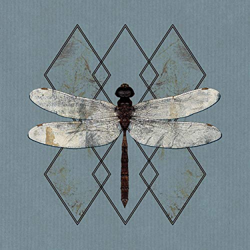 A dragonfly with white wings and dark body on a blue background with diamond shapes.
