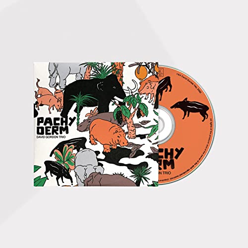 CD cover with illustrated animals and text "Pachyderm" by David Gordon Trio.