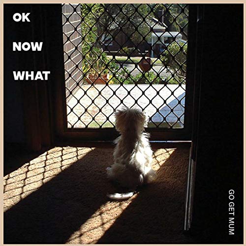 "Dog sitting on the floor, looking through a screened door."
