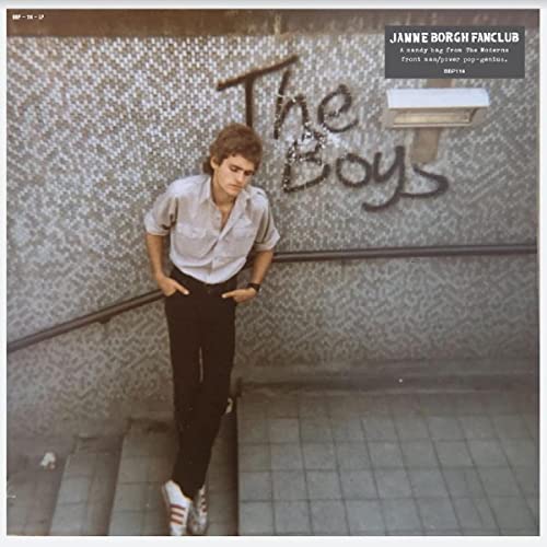 Vinyl record cover featuring a man on stairs with "The Boys" text.