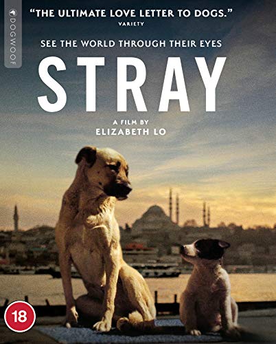 Blu-ray cover for “Stray” featuring two dogs against a city skyline.