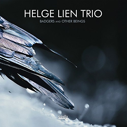 CD cover: dark image of a bird’s wing and blurred dandelion seeds.