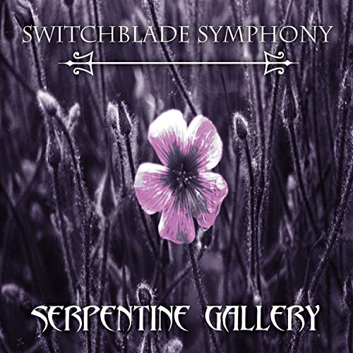 Album cover: purple floral image against a blurred, dark background.