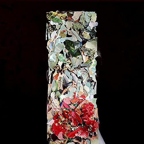CD cover with a vertical collage of colorful, fragmented images on black.