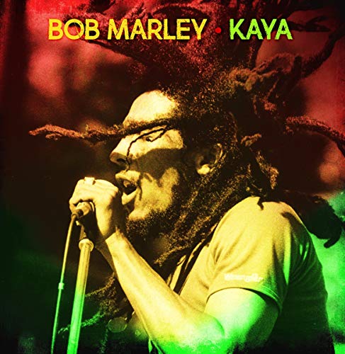 Bob Marley singing into a microphone, dreadlocks, album cover art.