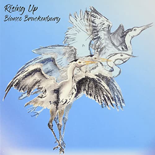 "Album cover featuring three herons in flight against a blue gradient background."