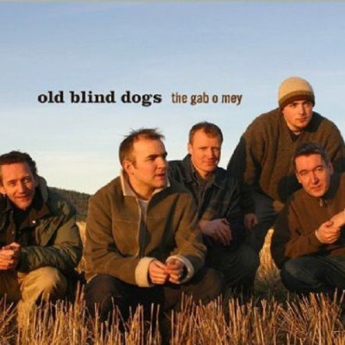 "Album cover featuring five men sitting in a field with text 'old blind dogs'."