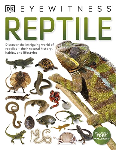 Reptile (DK Eyewitness)