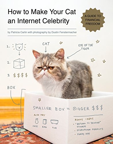 How to Make Your Cat an Internet Celebrity: A Guide to Financial Freedom: 1