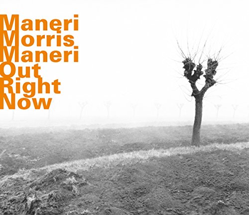 "Album cover with orange text on a black and white landscape image."