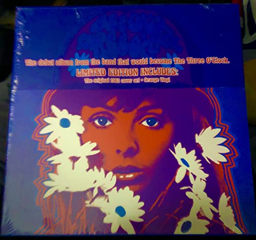 Vinyl album cover featuring a woman’s face with white daisies.