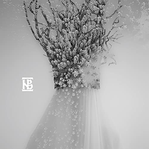 Black and white album cover featuring a snowy, branch-like figure.