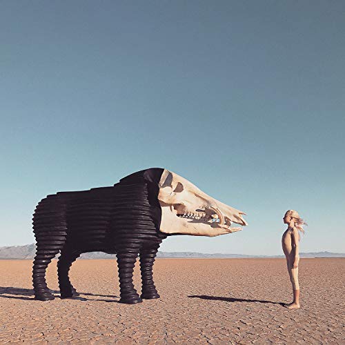 Album cover featuring a large animal skull sculpture and a person in a desert.