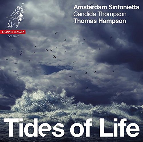 "CD cover featuring a turbulent ocean scene with waves and birds under a cloudy sky."