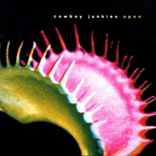 "Album cover with a Venus flytrap on a black background, 'cowboy junkies open' text."