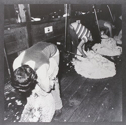 Black and white photo of two people shearing sheep indoors.