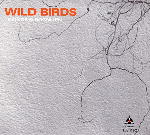 "Album cover with 'Wild Birds' in orange text on a gray, cracked surface background."