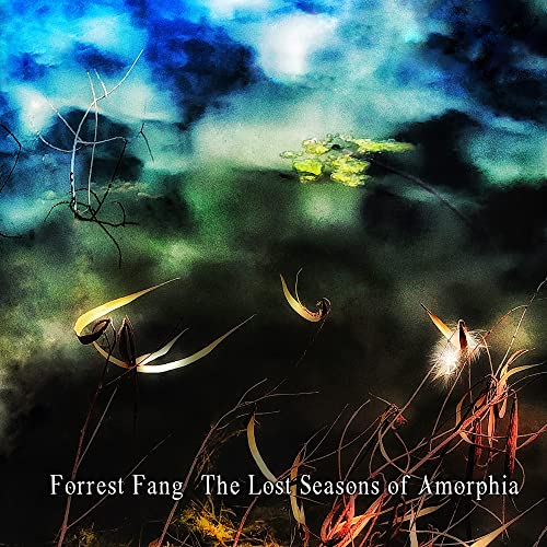 CD cover: Moody landscape with abstract plants and text "Forrest Fang".