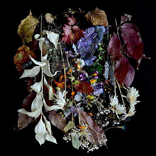 A vinyl record cover featuring a bouquet of colorful flowers and leaves against a black background.
