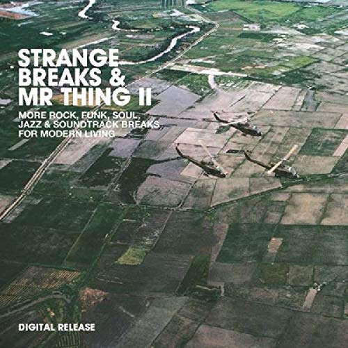 Aerial view of a plane crash in a field, with white text overlay.