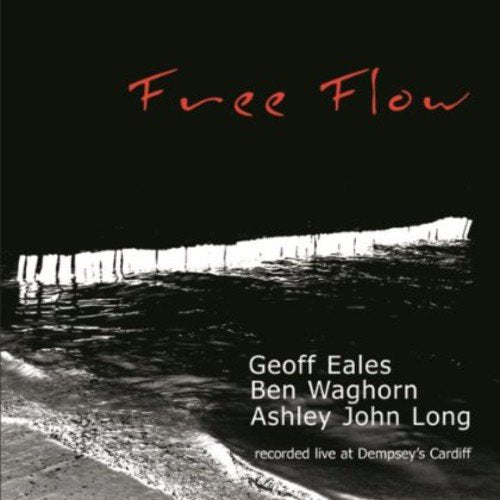 "Album cover with 'Free Flow' in red text, featuring a black-and-white seascape image."