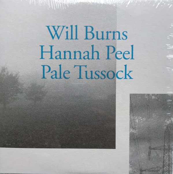Vinyl record cover for "Pale Tussock" by Will Burns & Hannah Peel.