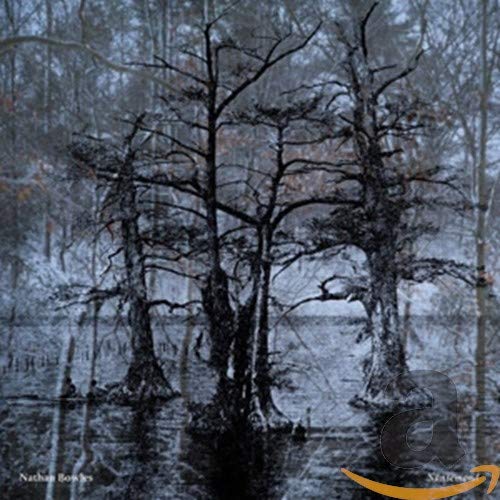 Dark, atmospheric image of trees in still water; CD cover art.