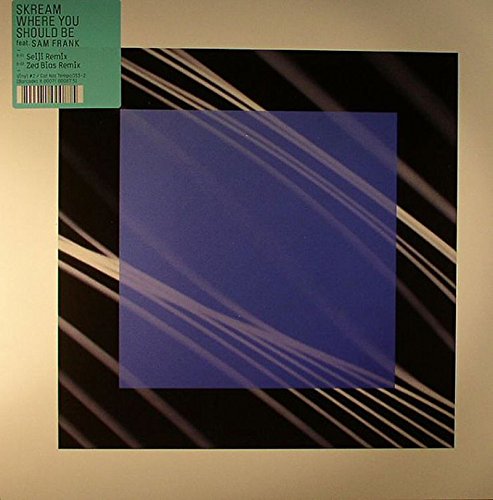 A vinyl record sleeve with a blue square on a black and white background.