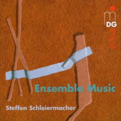 "Brown textured album cover with abstract design, text 'Ensemble Music' and 'Steffen Schleiermacher'."