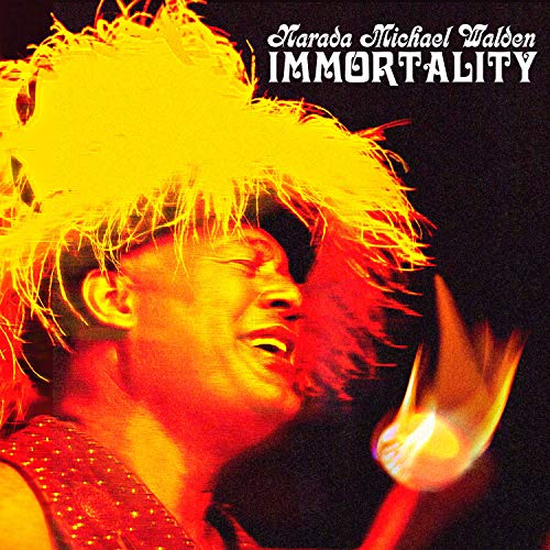 Narada Michael Walden's album cover: a man with feathered headdress, screaming, with fire nearby.