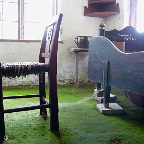 Wooden chair and bench in a room with a moss-covered floor.