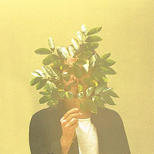 Person with green leaves obscuring face, yellow background.