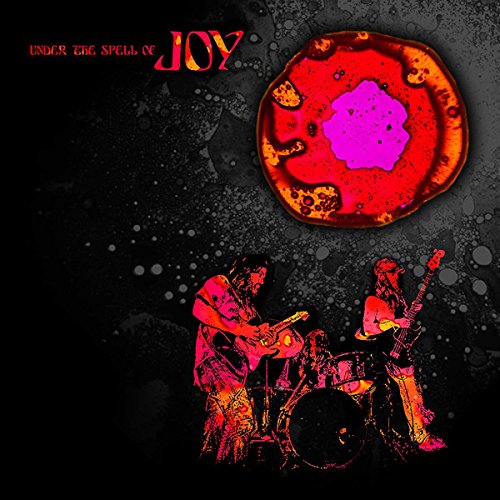 Vinyl album cover for "Joy - Under The Spell Of Joy" with band image.