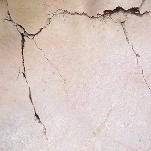 Cracked, textured beige surface, likely the album cover for "Shibboleth".