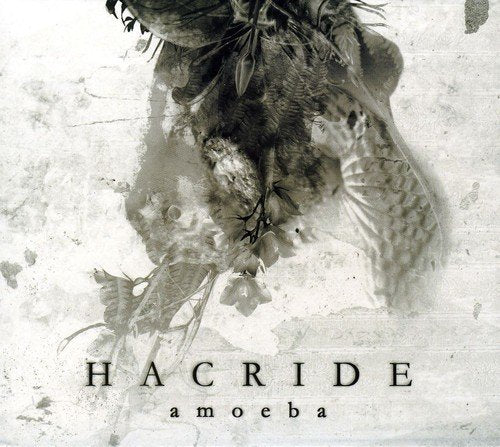 Album cover with "Hacride" and "amoeba" text, featuring a green-toned fish image.